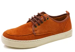 Blucher